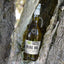 KORVEL Greek Extra Virgin Olive Oil, Amphora 16.9 fl oz