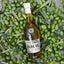 KORVEL Greek Extra Virgin Olive Oil, Amphora 16.9 fl oz - 6 pack