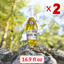 KORVEL Greek Extra Virgin Olive Oil, Amphora 16.9 fl oz (500ml) - 2 pack - Korvel-Food Inc.