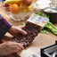 KORVEL Greek Olives Varieties of Kalamata - set of two packs 2 x 0.55 lb - 1.1 lb