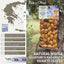 KORVEL Greek Olives - Kalamata-Halkidiki with Paprika - set of two packs 2 x 0.55 lb - 1.1 lb
