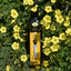 KORVEL Greek Extra Virgin Olive Oil, 500 ml